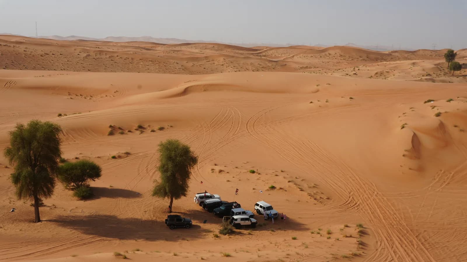 Aerial view of 4x4s parked among ghaf trees in the dunes