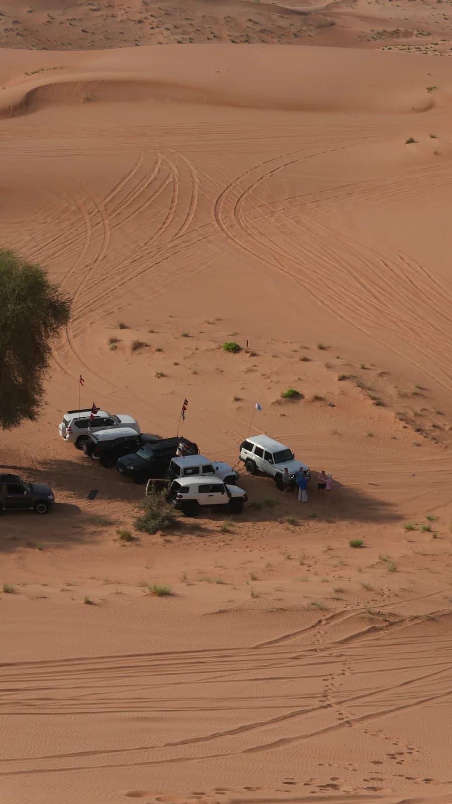 A crew standing beside their parked convoy in the desert